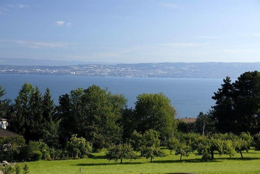 Residence Odalys Les Chalets D'Evian Exterior photo